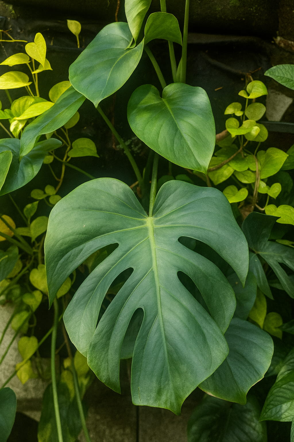 May Flowers Horticulture Installation 60